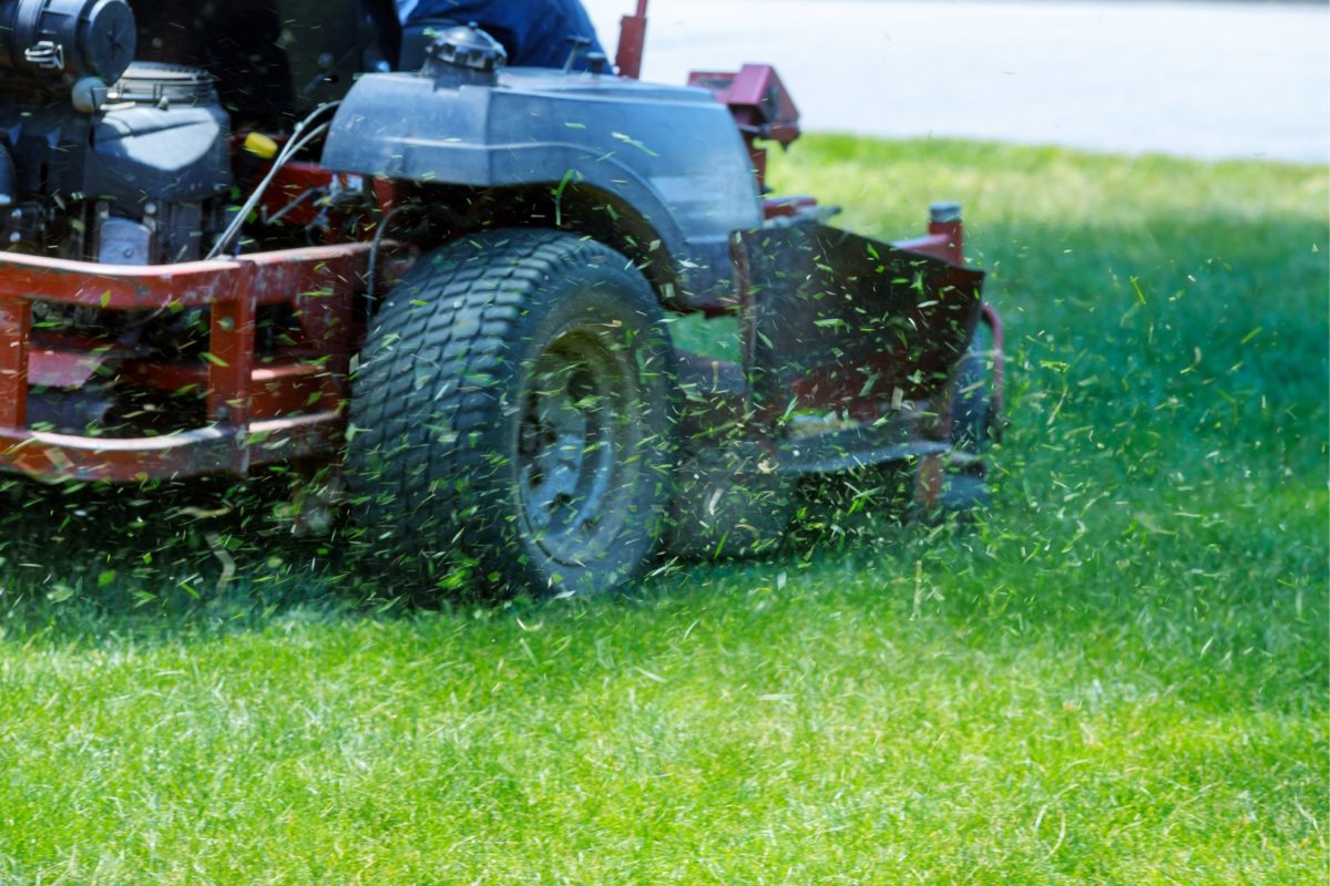 Top Five Important Benefits to Regular Lawn Mowing Maintenancefeatured image