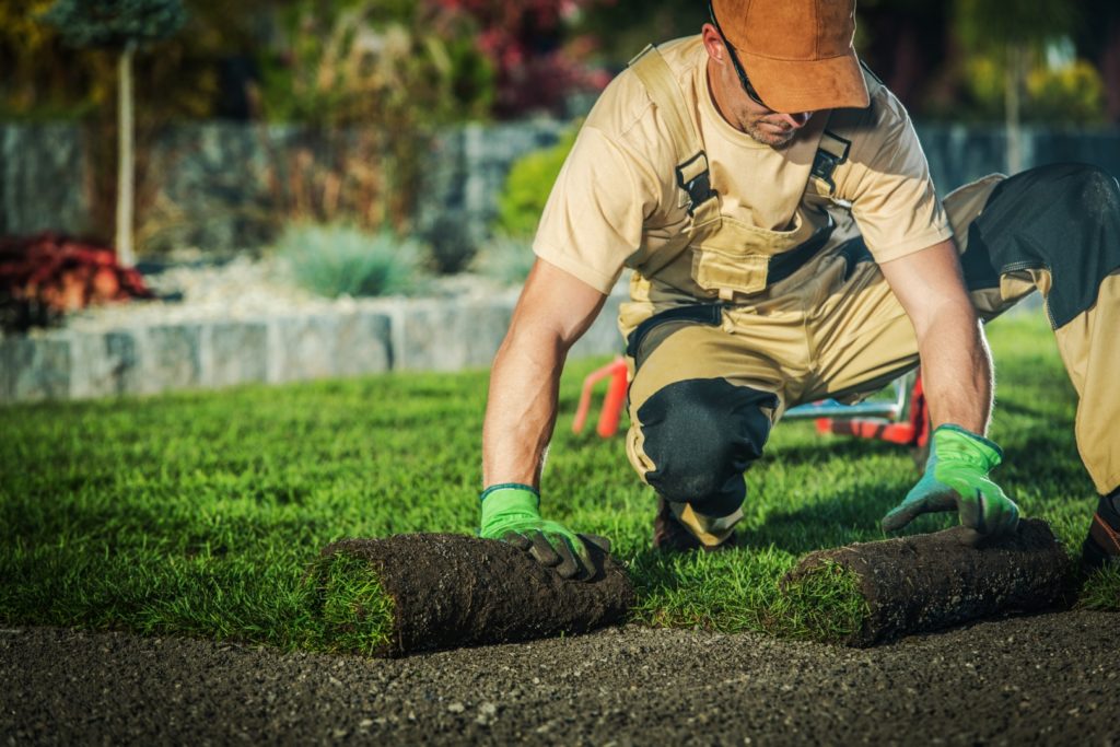 How to Choose a Landscaping and Lawn Care Company