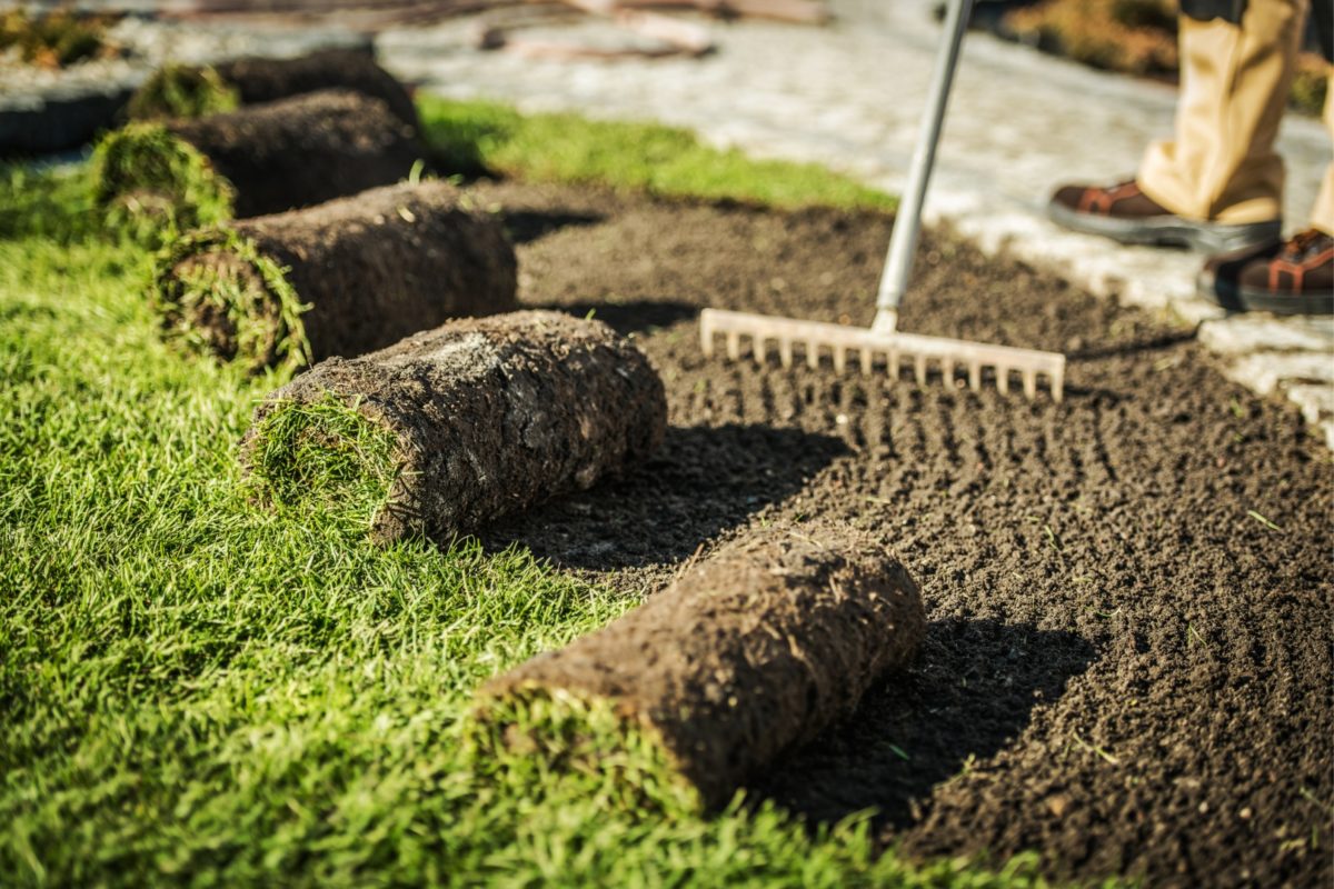 Why You Should Hire a Landscaper to Complete Your Sod Installationfeatured image