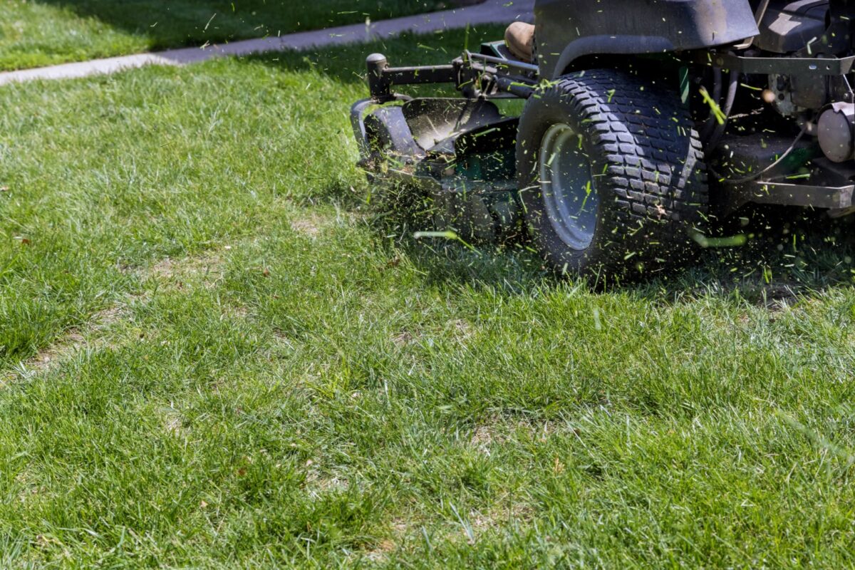 Early Spring Mowing Services and Preparing Your Lawn for the Seasonfeatured image
